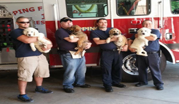 Hero Pups Gives Back to Veterans, First Responders