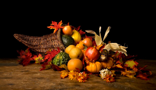 Happy Thanksgiving from EMS Flight Safety Network